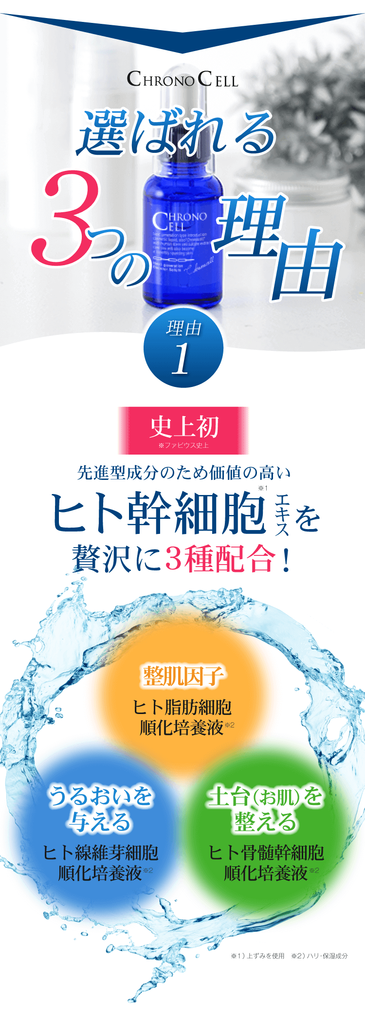 クロノセル,特徴,効果