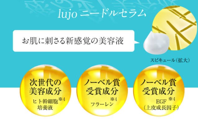 lujo(ルジョー)ニードルセラム,受賞
