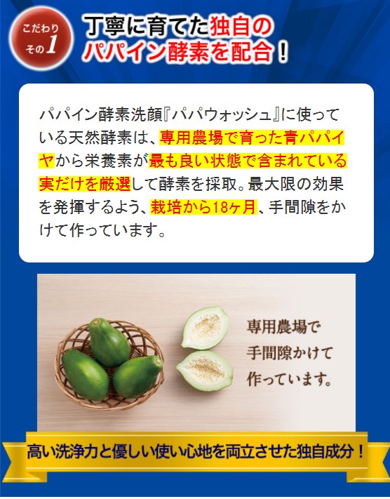 パパウォッシュ,販売店,特徴,効果,効き目,メリット